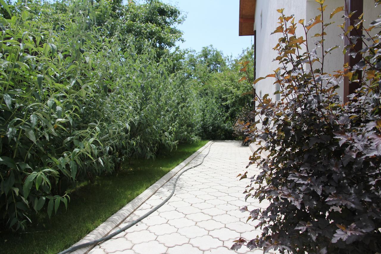 Guest House Leto Dolinka Exterior foto
