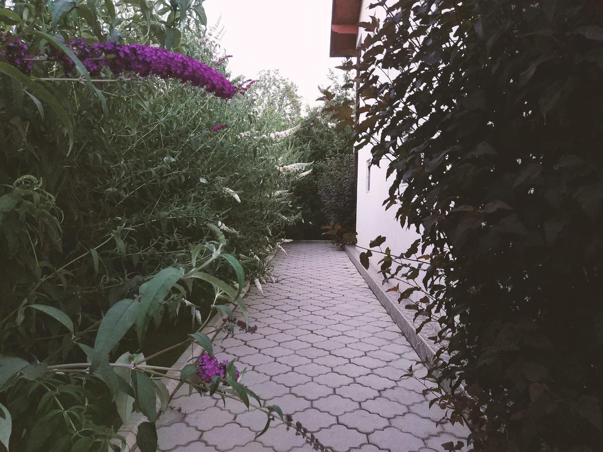 Guest House Leto Dolinka Exterior foto